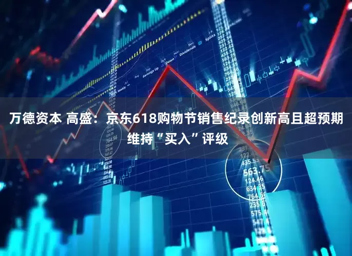 万德资本 高盛：京东618购物节销售纪录创新高且超预期 维持“买入”评级