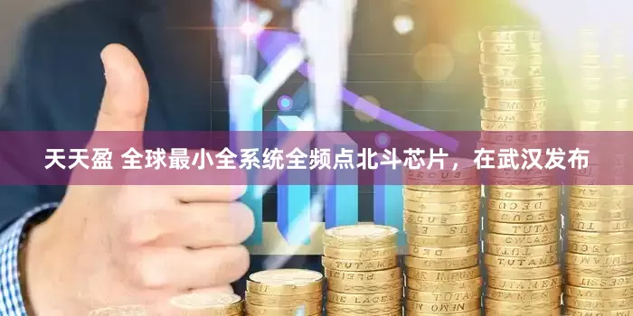 天天盈 全球最小全系统全频点北斗芯片，在武汉发布