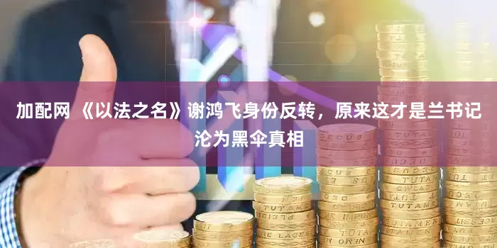 加配网 《以法之名》谢鸿飞身份反转，原来这才是兰书记沦为黑伞真相