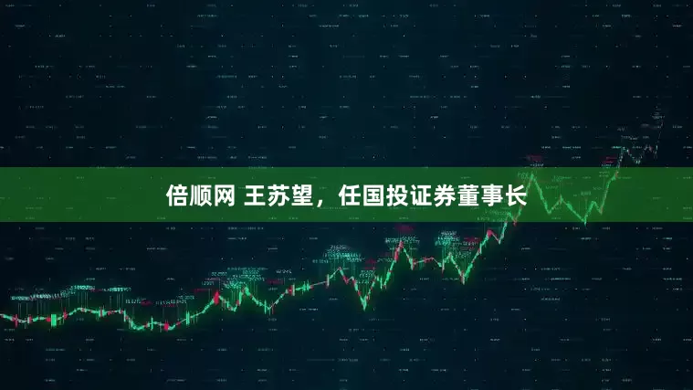 倍顺网 王苏望，任国投证券董事长