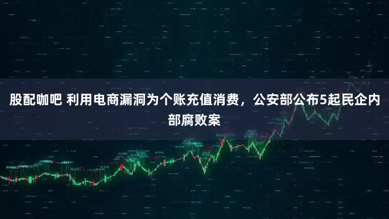 股配咖吧 利用电商漏洞为个账充值消费，公安部公布5起民企内部腐败案