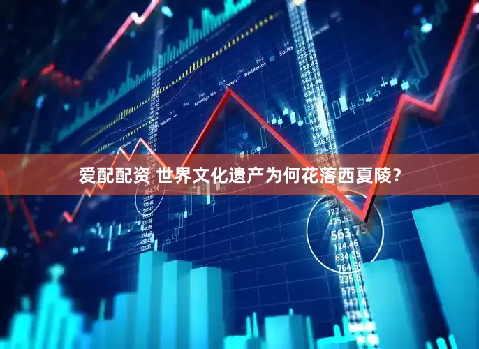 爱配配资 世界文化遗产为何花落西夏陵？