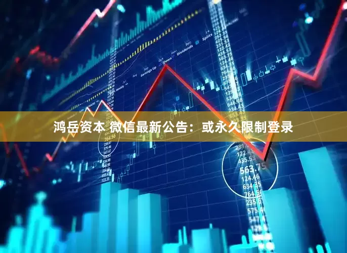 鸿岳资本 微信最新公告：或永久限制登录