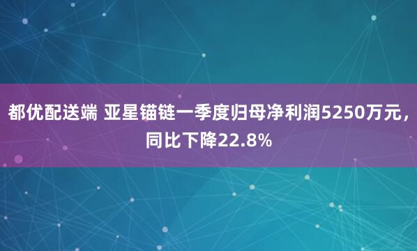 都优配送端 亚星锚链一季度归母净利润5250万元，同比下降22.8%
