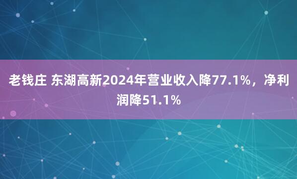 老钱庄 东湖高新2024年营业收入降77.1%，净利润降51.1%