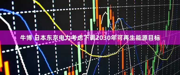 牛博 日本东京电力考虑下调2030年可再生能源目标