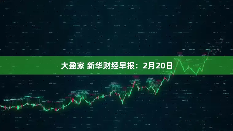 大盈家 新华财经早报：2月20日